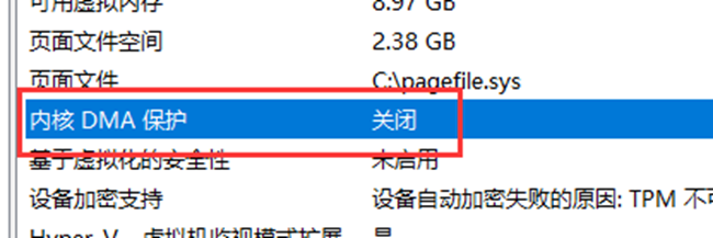 内核 DMA 保护截图